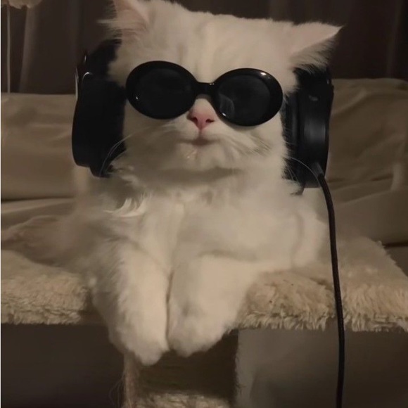 xocutieox